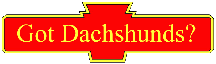 Description: Got Dachshunds button